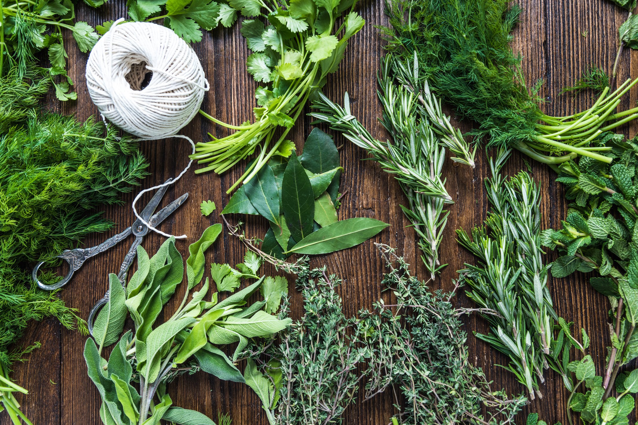 Many Fresh Garden Herbs 